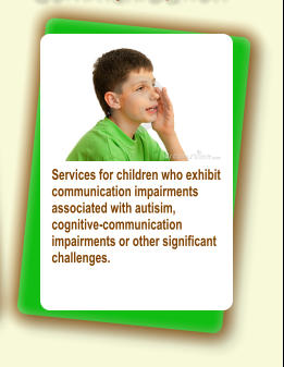 Services for children who exhibit communication impairments associated with autisim, cognitive-communication impairments or other significant challenges.